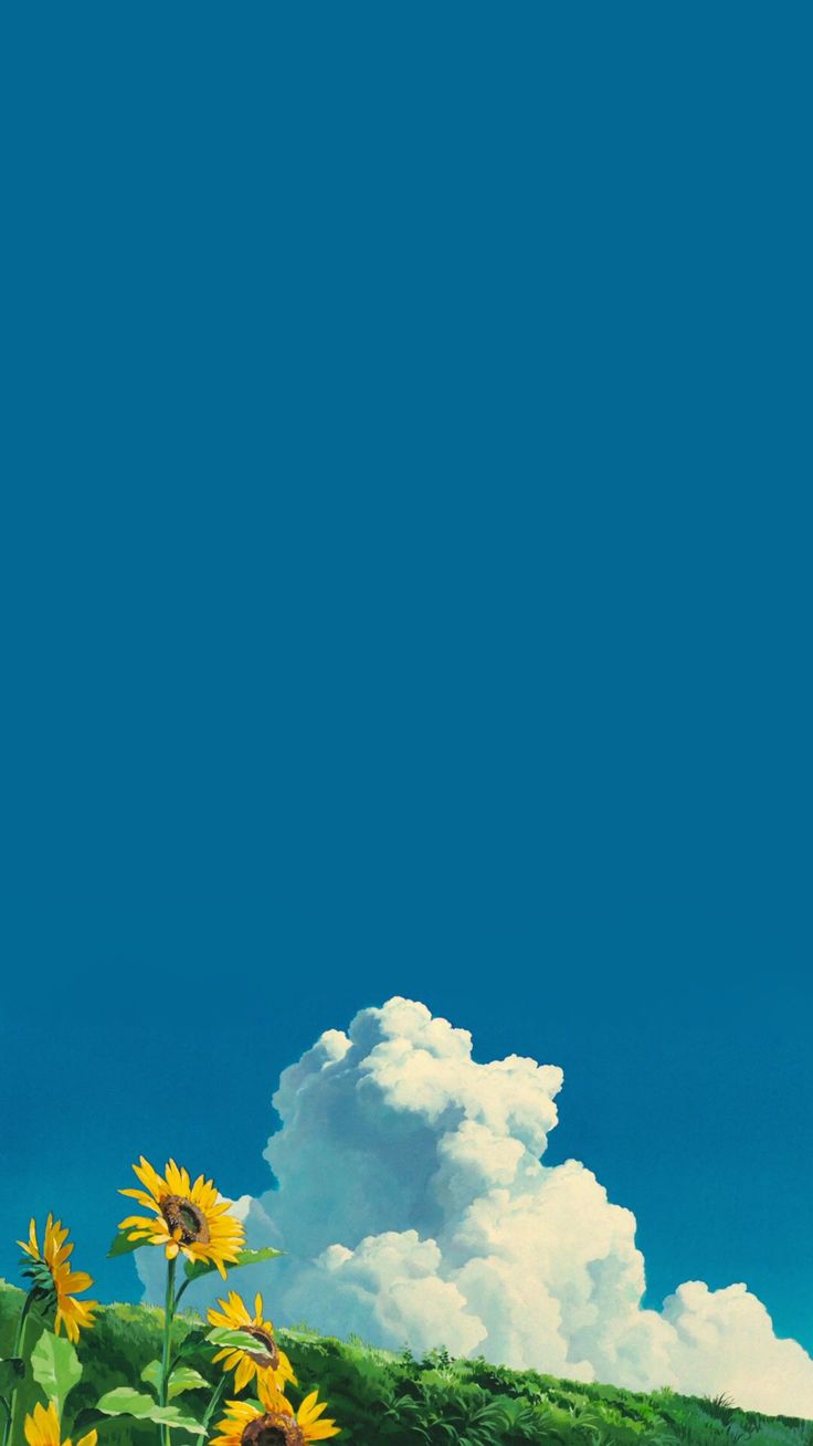 Sunflowers and a white cloud along the bottom of a plain teal-blue background.