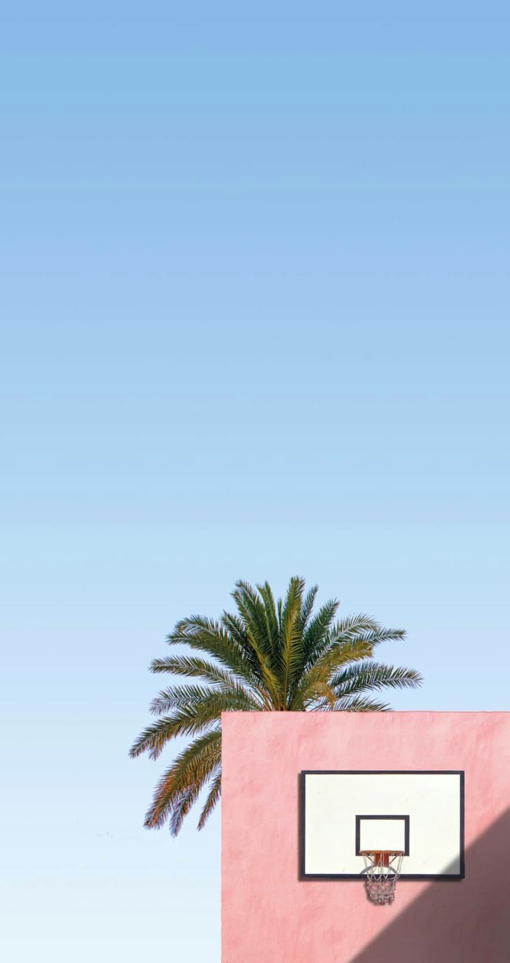 Palm Tree Basketball Hoop