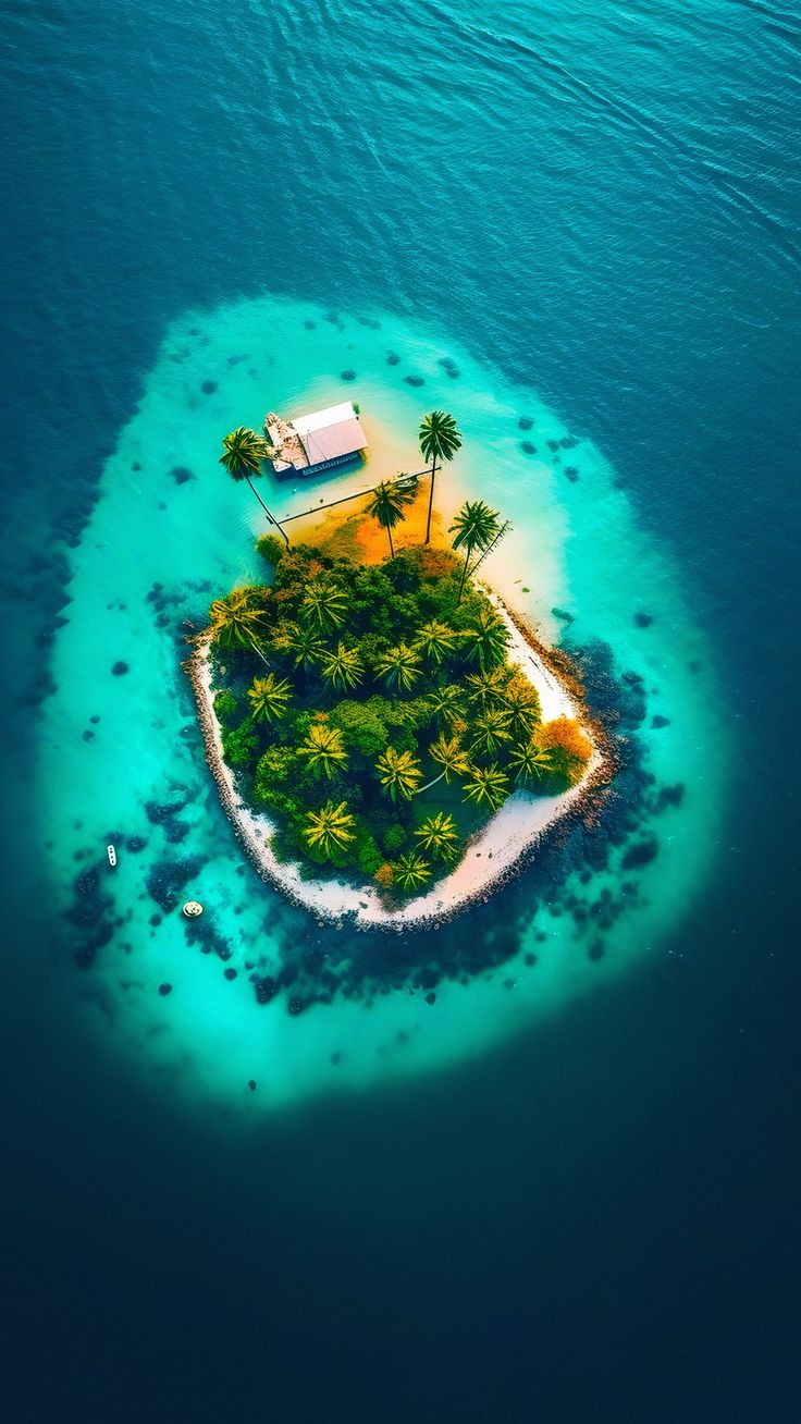 A small round tropical island covered in trees in turquoise water, seen from above.