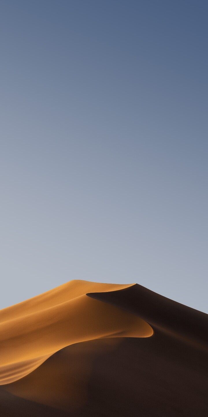 A smooth golden sand dune under a plain blue-grey sky.