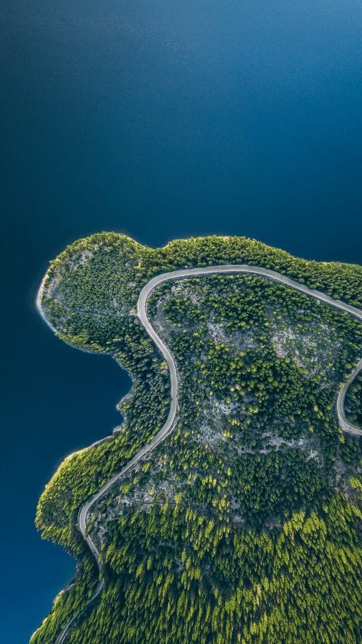 Forest Peninsula Road