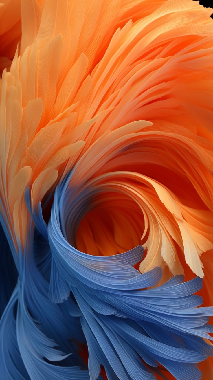 Orange and Blue Plumage