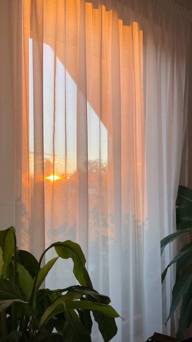 Sunset Through Curtains