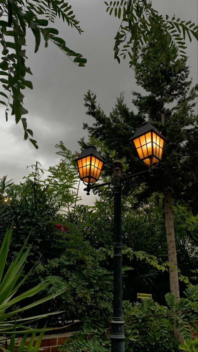 Old street lamps glowing among dark green trees under a grey sky.