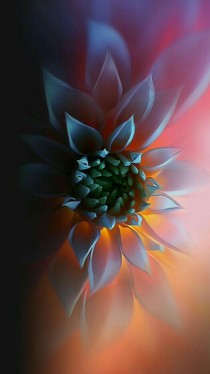 Glowing Dark Flower