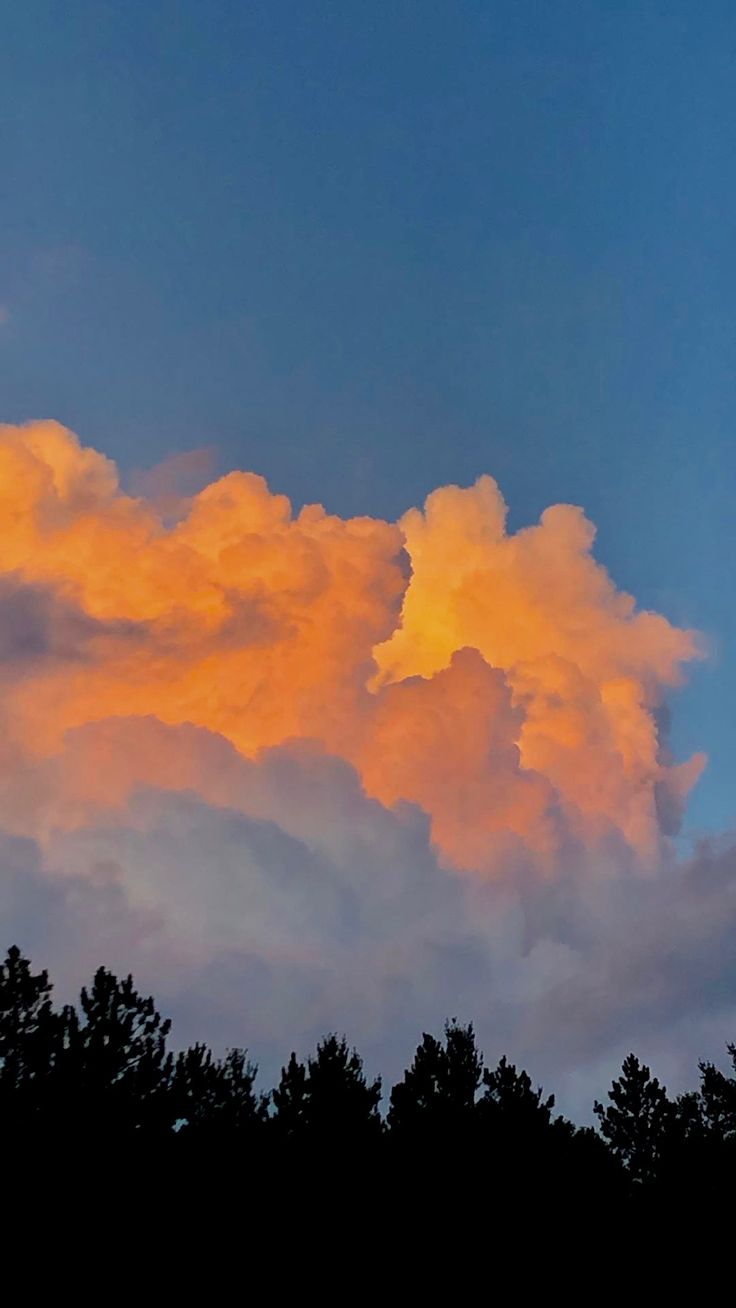 Orange Cloud over the Trees