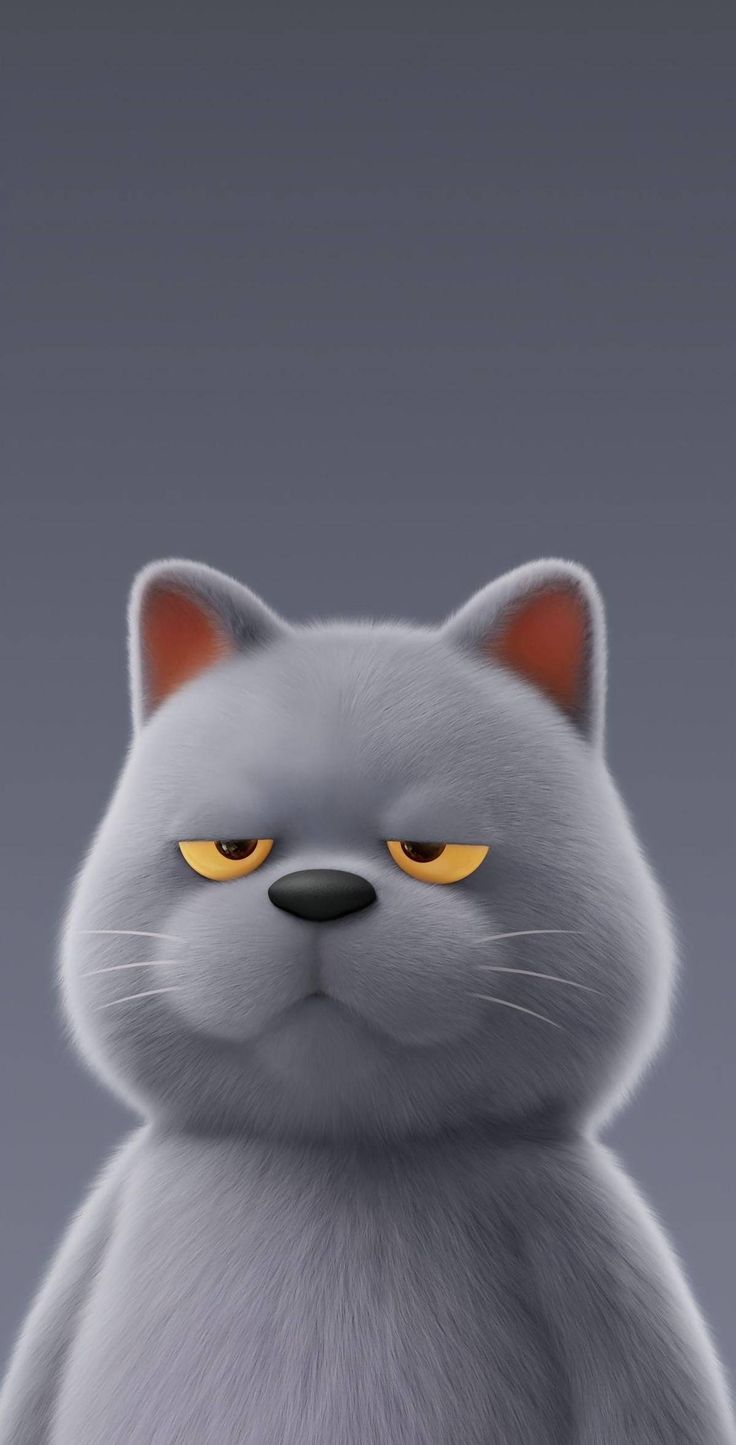 Grumpy Grey Cat