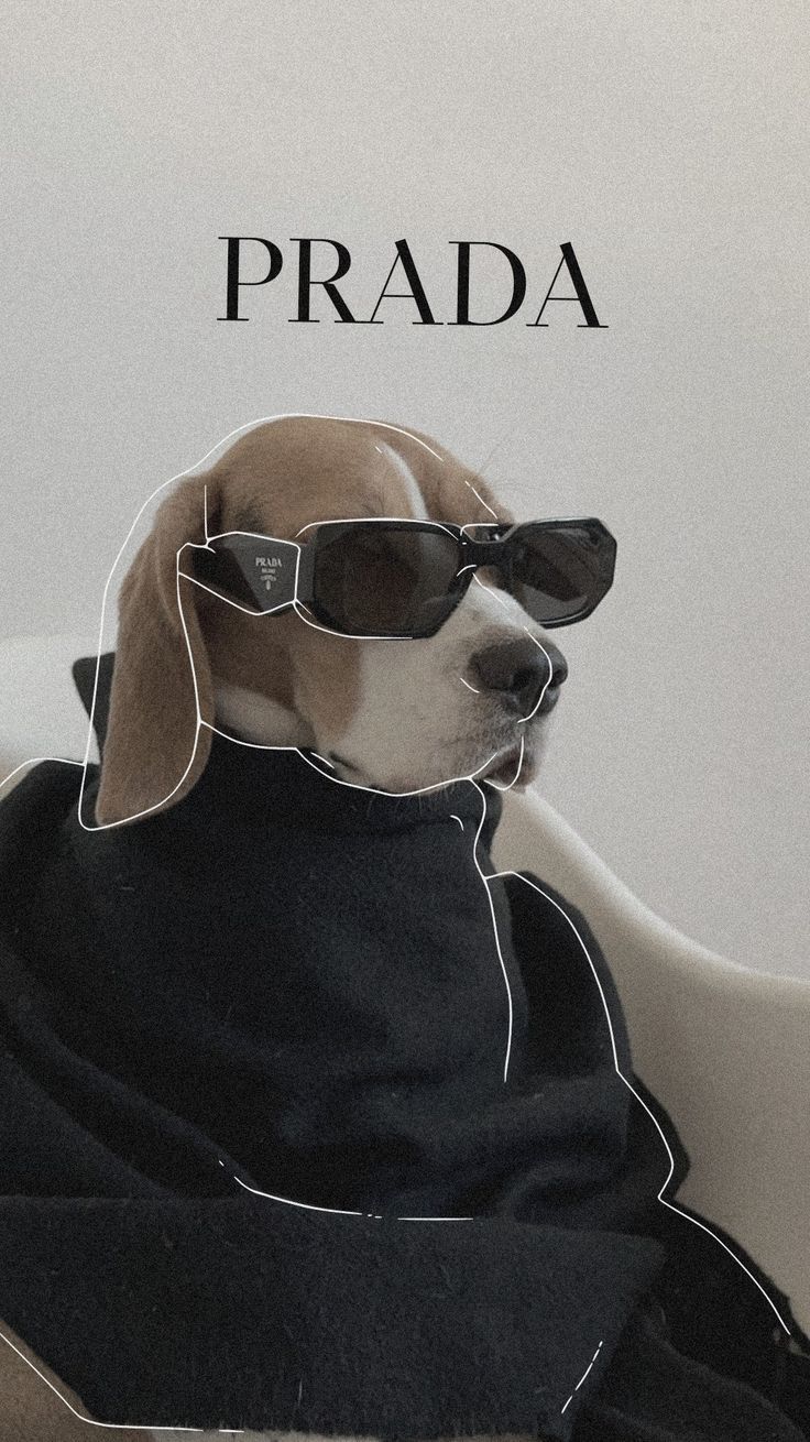 A beagle in black sunglasses and a black coat beneath the word "Prada".