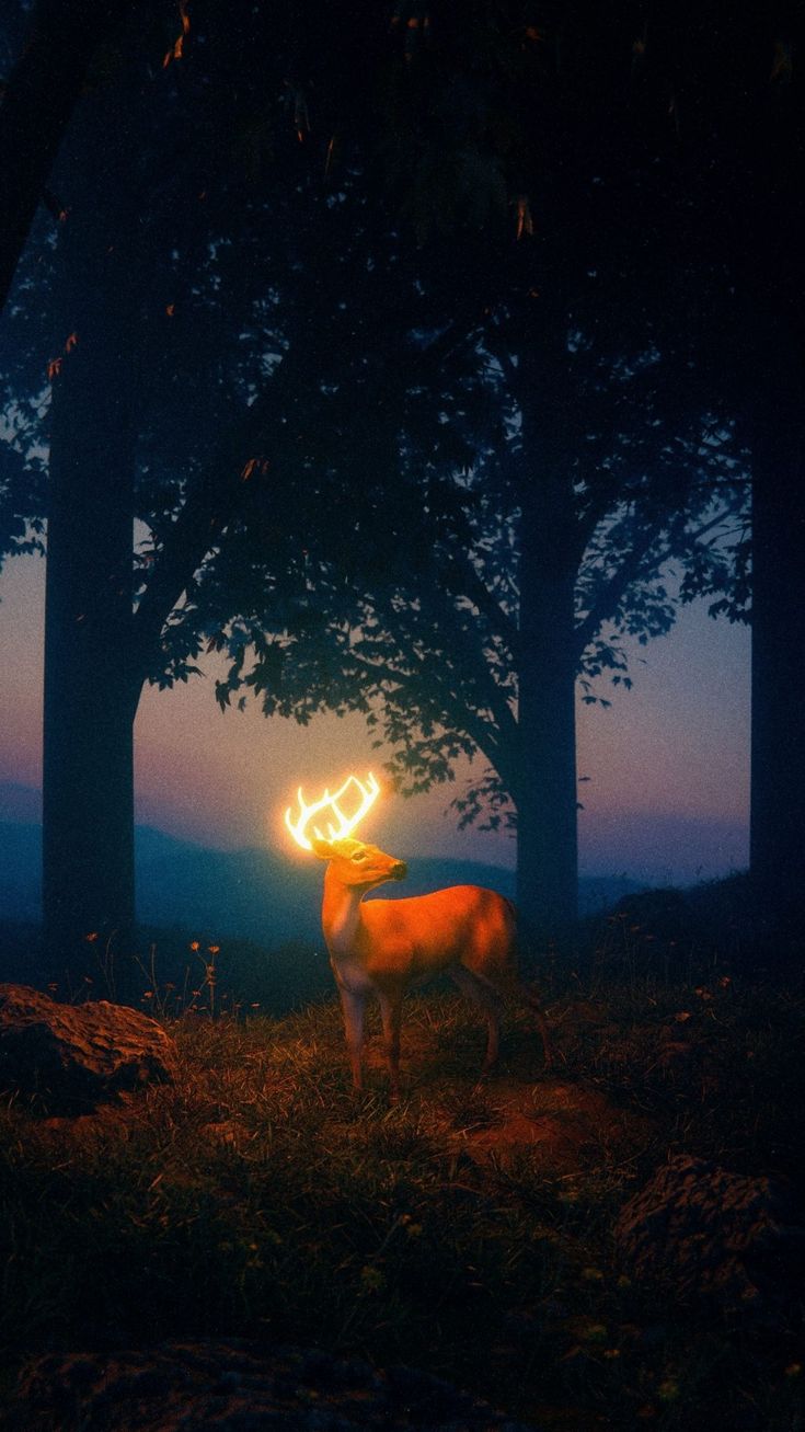 A glowing deer standing among dark trees in a moonlit forest.