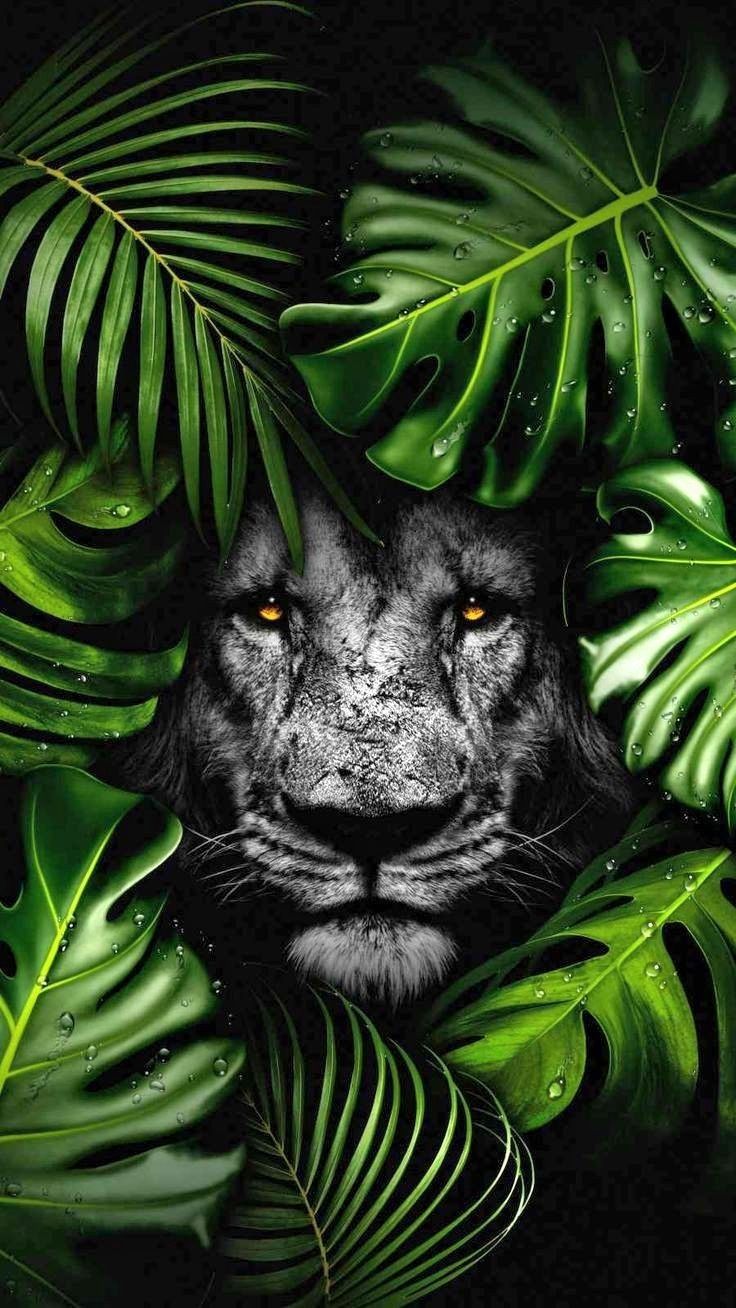 A black-and-white lion's face surrounded by bright green monstera leaves.