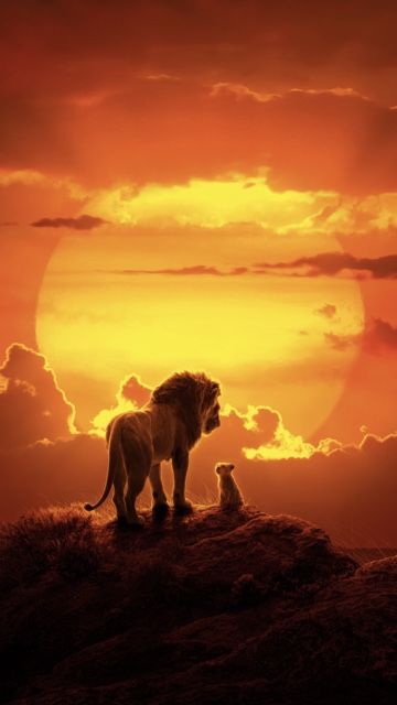 Lion and Cub at Sunset