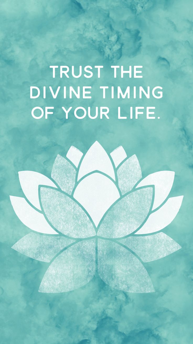 "Trust the divine timing of your life" in white capitals above a white lotus on teal.