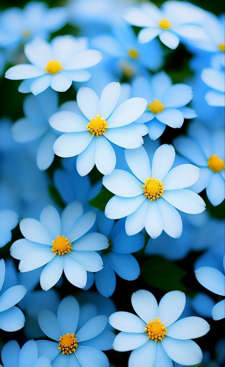 Blue Flower Cluster