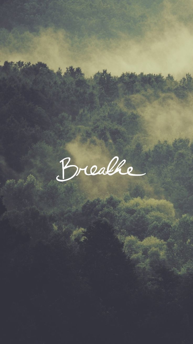 Breathe Forest