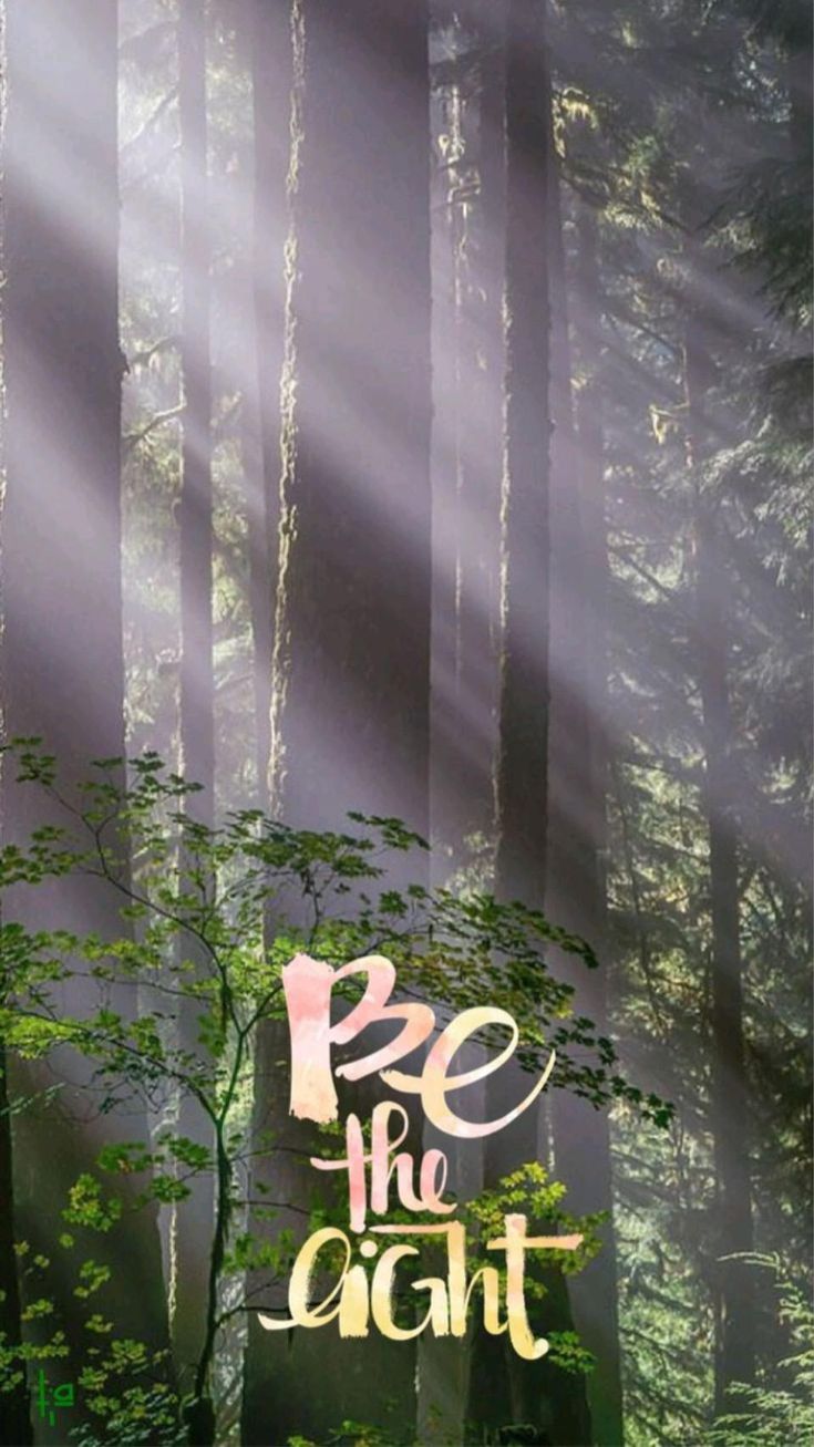 "Be the light" in yellow lettering over a misty forest lit by sunbeams.