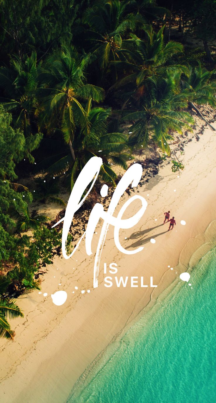 "Life is swell" in white over an aerial view of a palm-lined beach and turquoise sea.