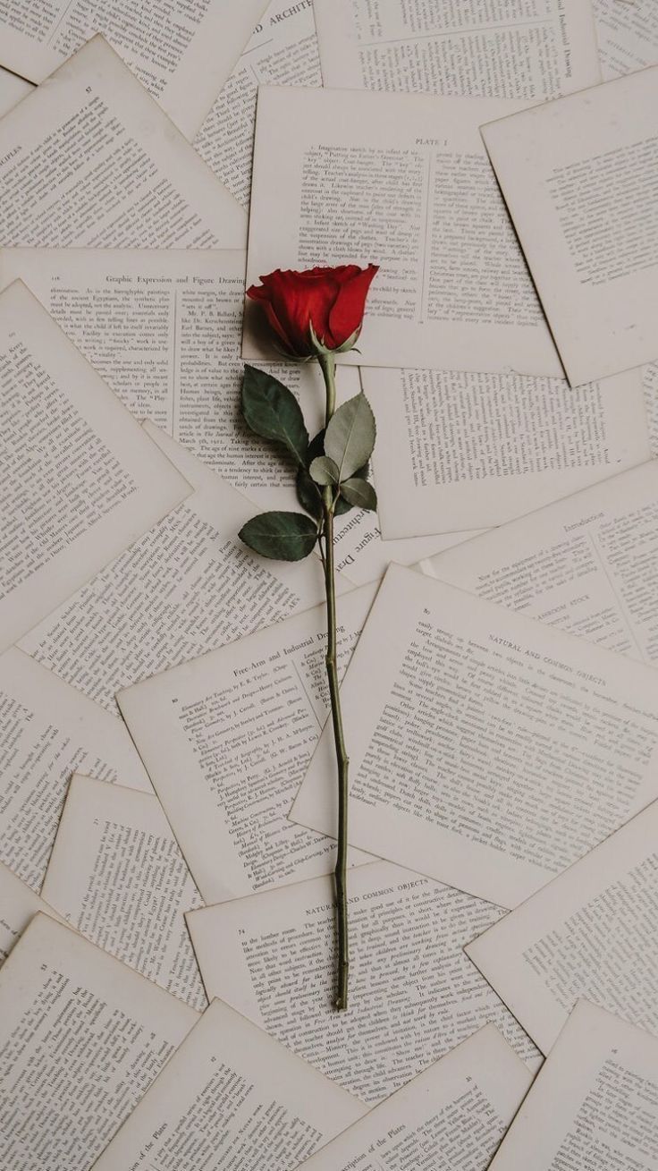 Rose on Book Pages