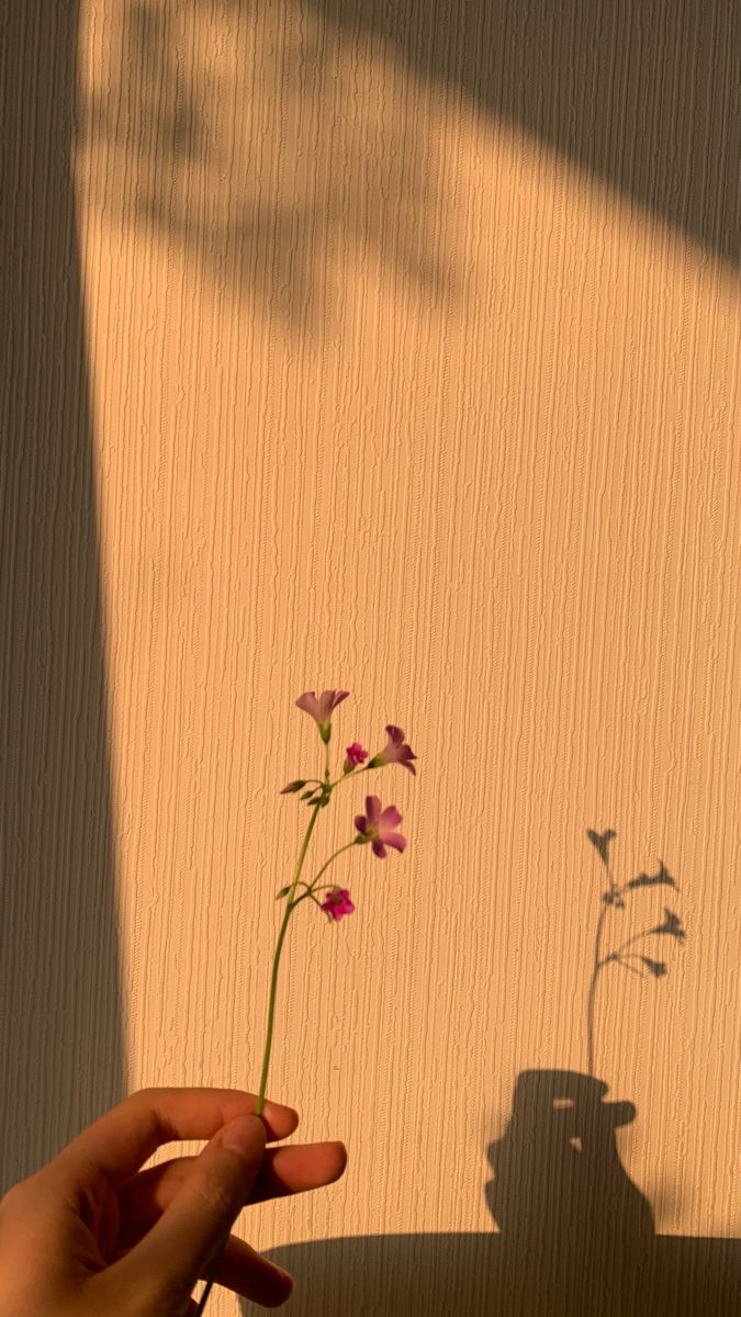 Wildflower Shadow