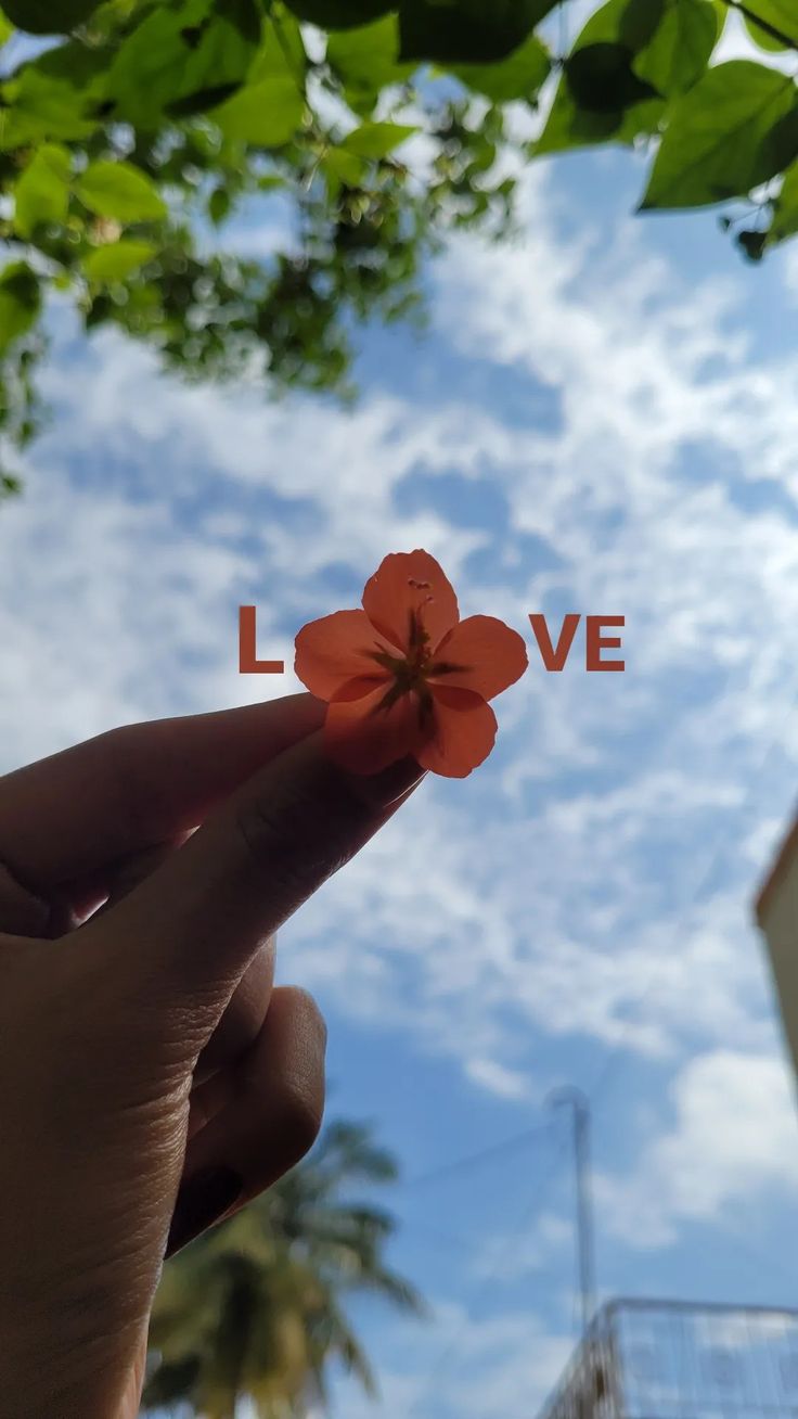 A hand holding a small red flower up to a blue sky, with "Love" written around it.