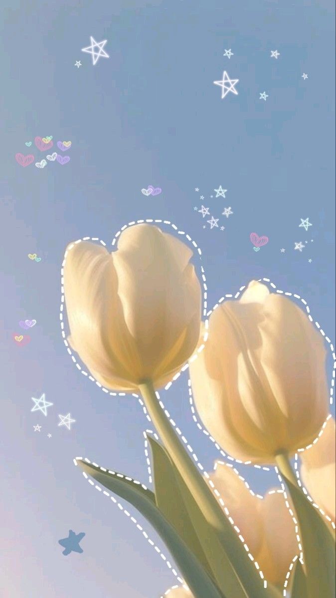 Yellow Tulips and Stars