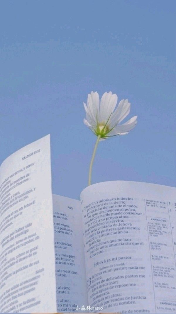 Flower from a Book
