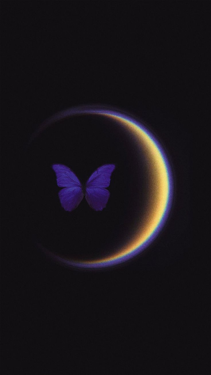 A small purple butterfly inside a glowing golden crescent on black.
