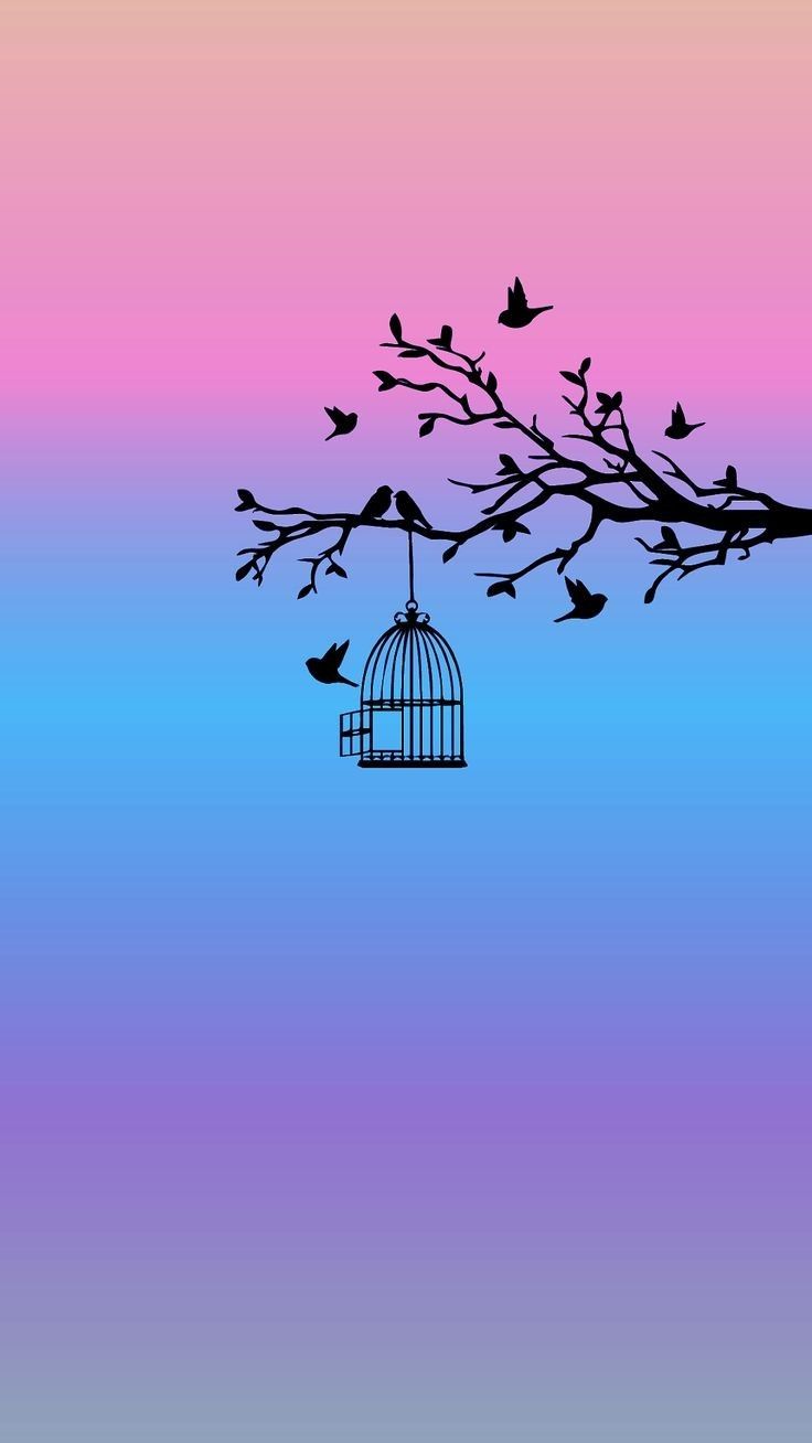 Birdcage Branch