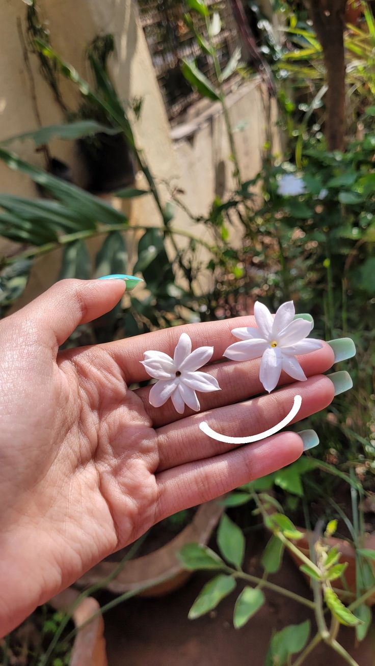 A hand holding two tiny white flowers arranged as a smiley face.