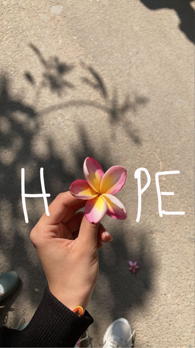 Hope with Frangipani