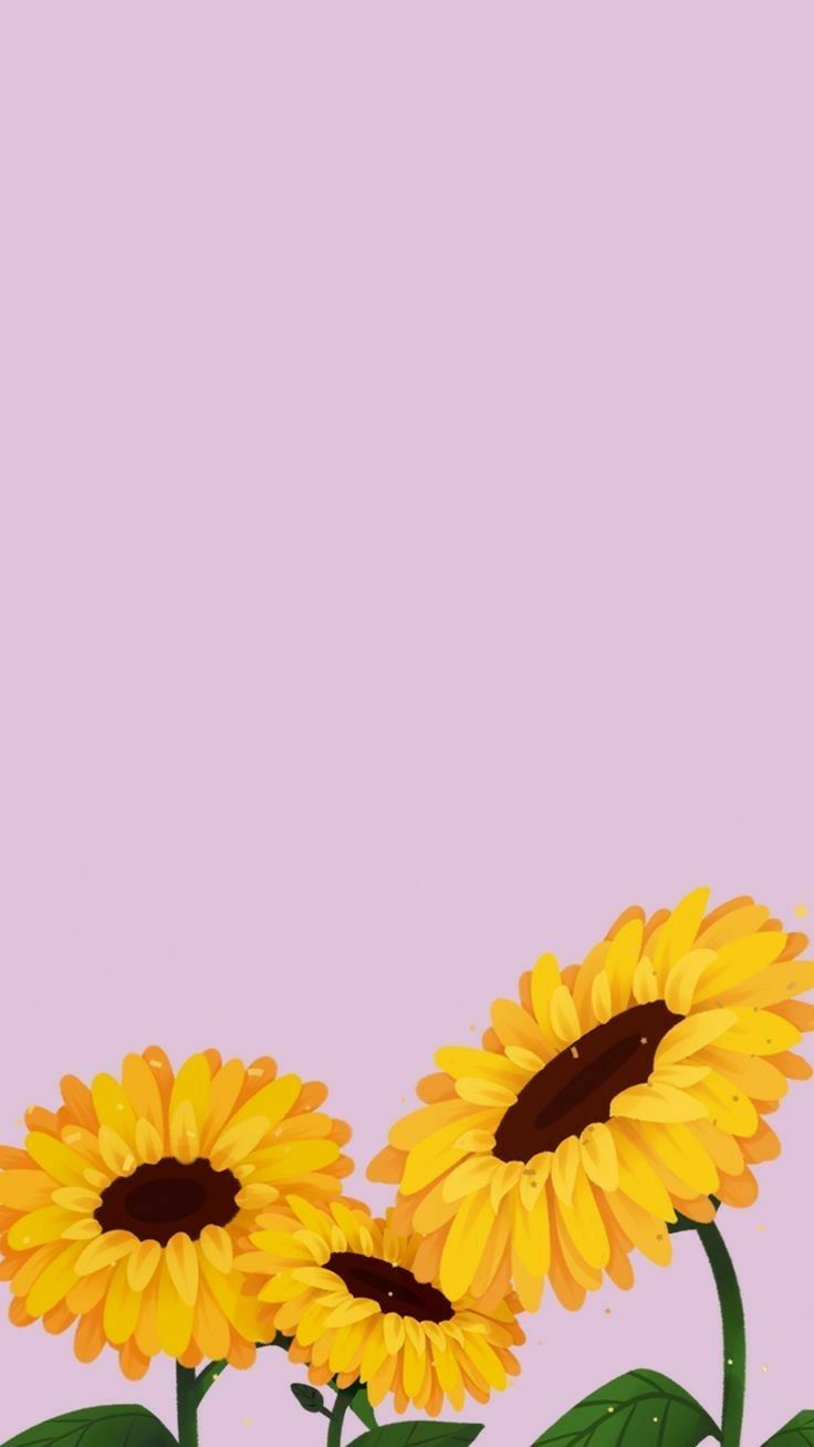 Three yellow sunflowers along the bottom of a plain dusty-lilac background.