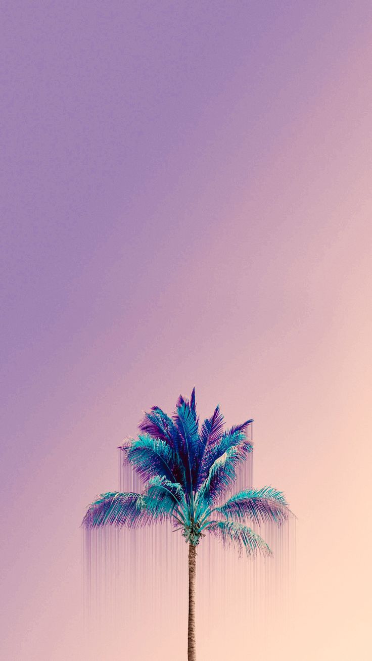 A single blue palm tree against a soft lilac-to-peach gradient.