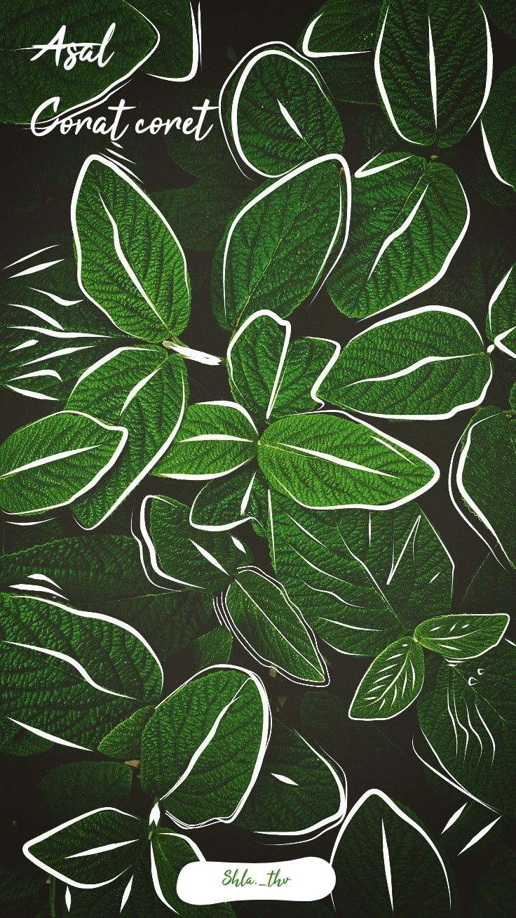 Green leaf line drawings over dark green, with a little handwritten text.