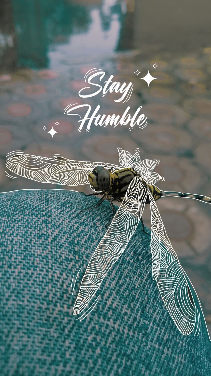 "Stay humble" in white script above a dragonfly resting on denim.