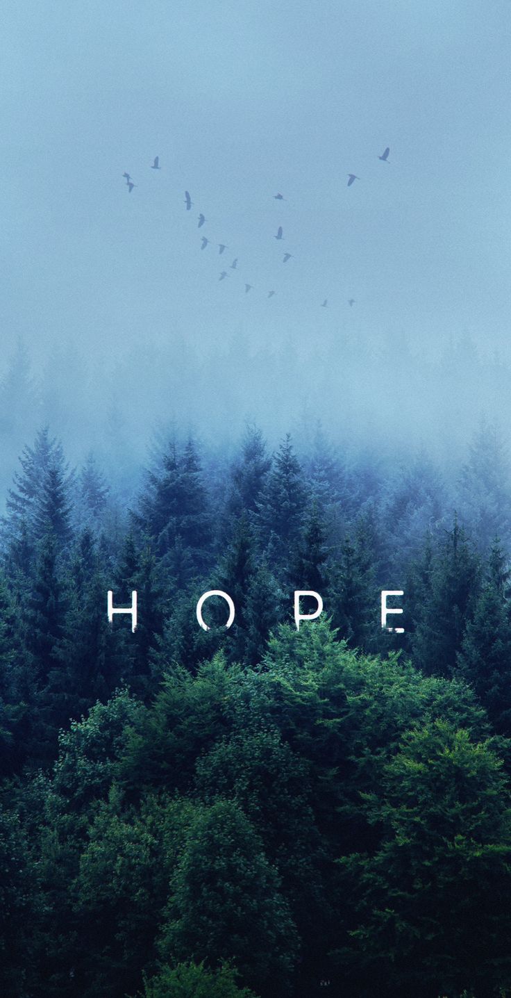 "Hope" in spaced white letters over a misty pine forest with birds.