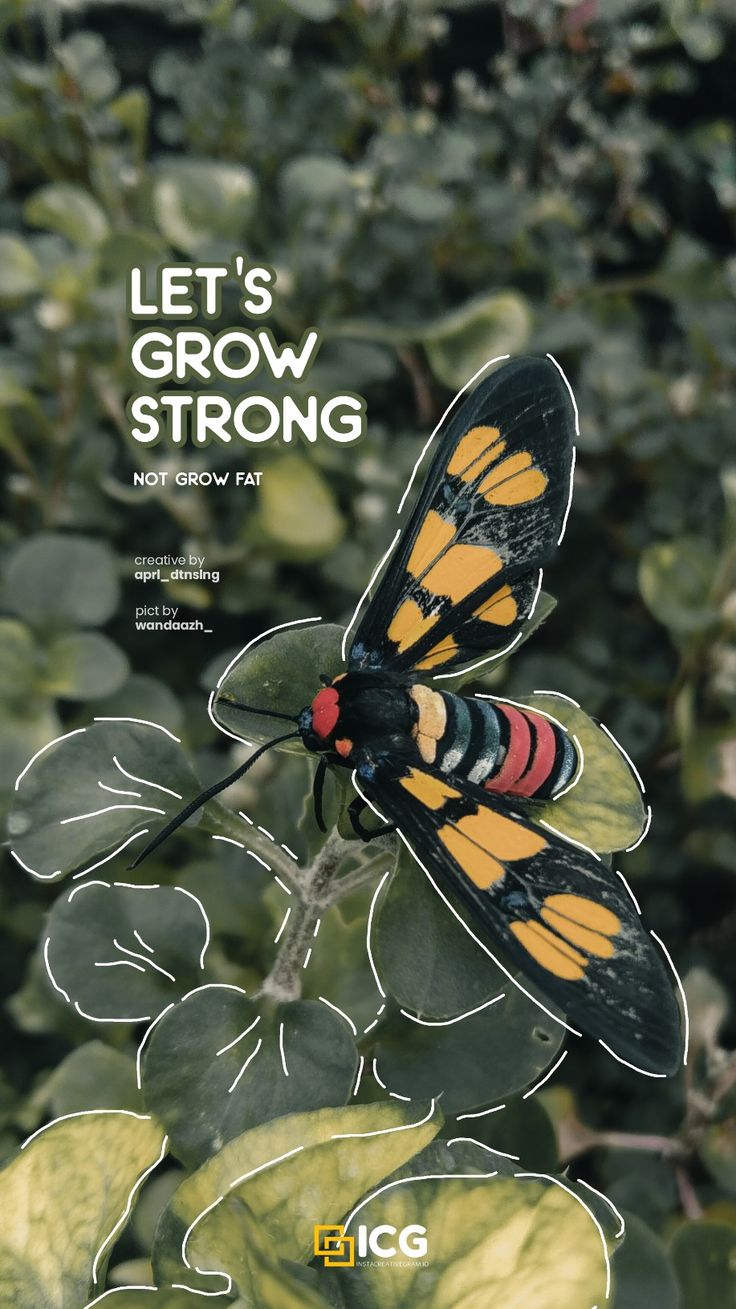 "Let's grow strong" in white beside a moth resting on green leaves.