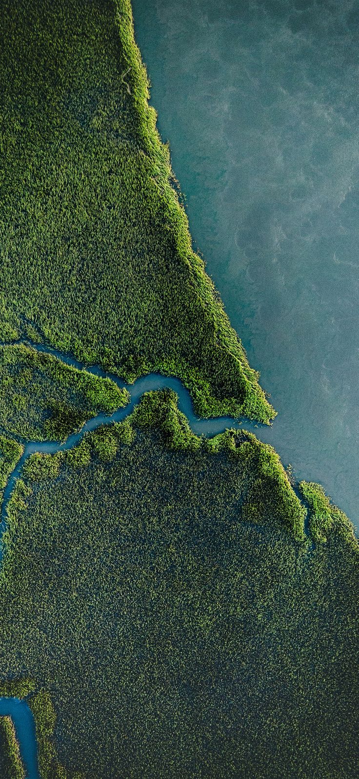 River Meets the Sea