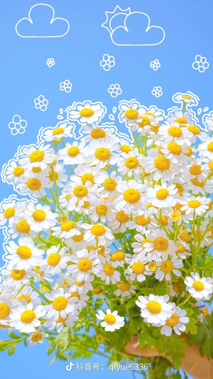 A big bouquet of chamomile flowers with doodled clouds on blue.