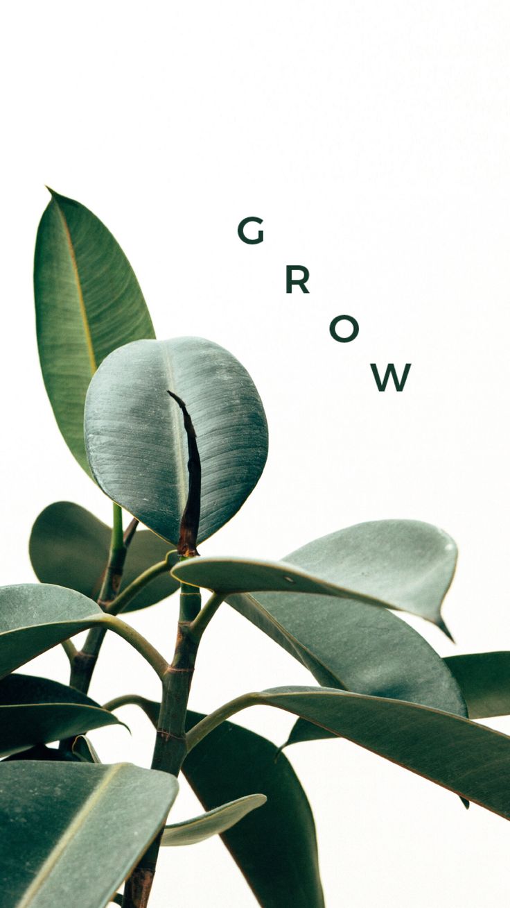 Grow