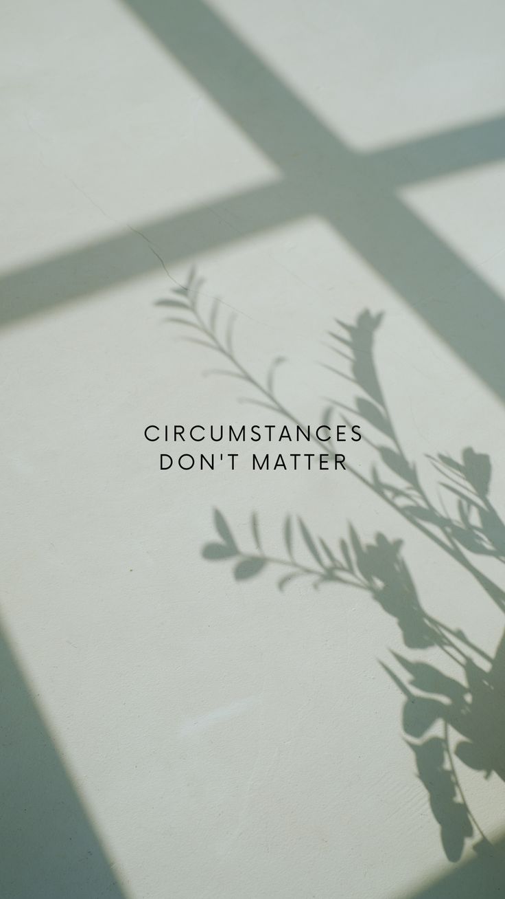 "Circumstances don't matter" in small grey capitals beside a plant shadow on a grey wall.