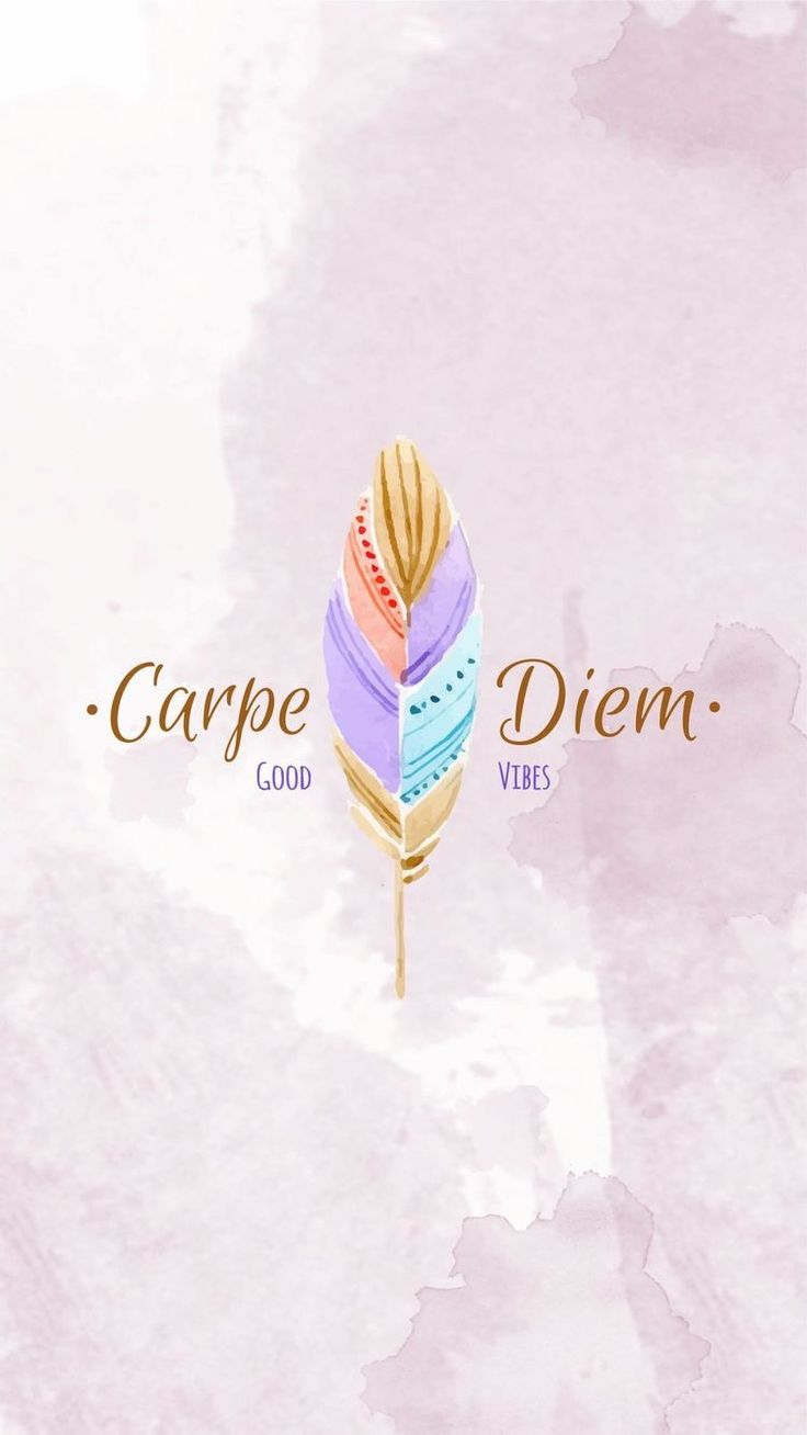 "Carpe Diem" in brown serif on either side of a rainbow feather on pale pink watercolour.
