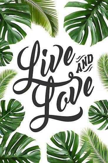 Live and Love