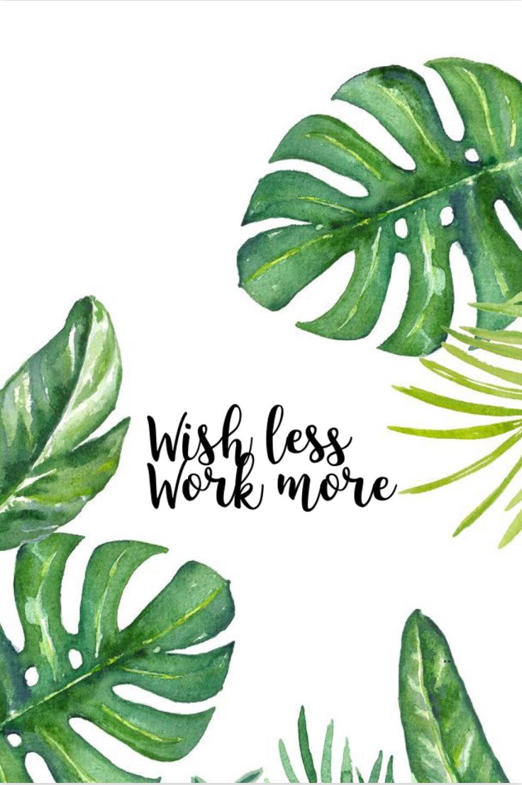 "Wish less, work more" in black script framed by monstera and palm leaves on white.