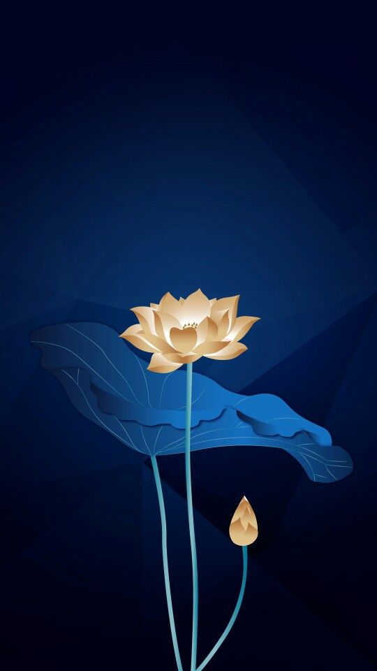 A golden lotus flower rising from a blue leaf on a dark navy background.
