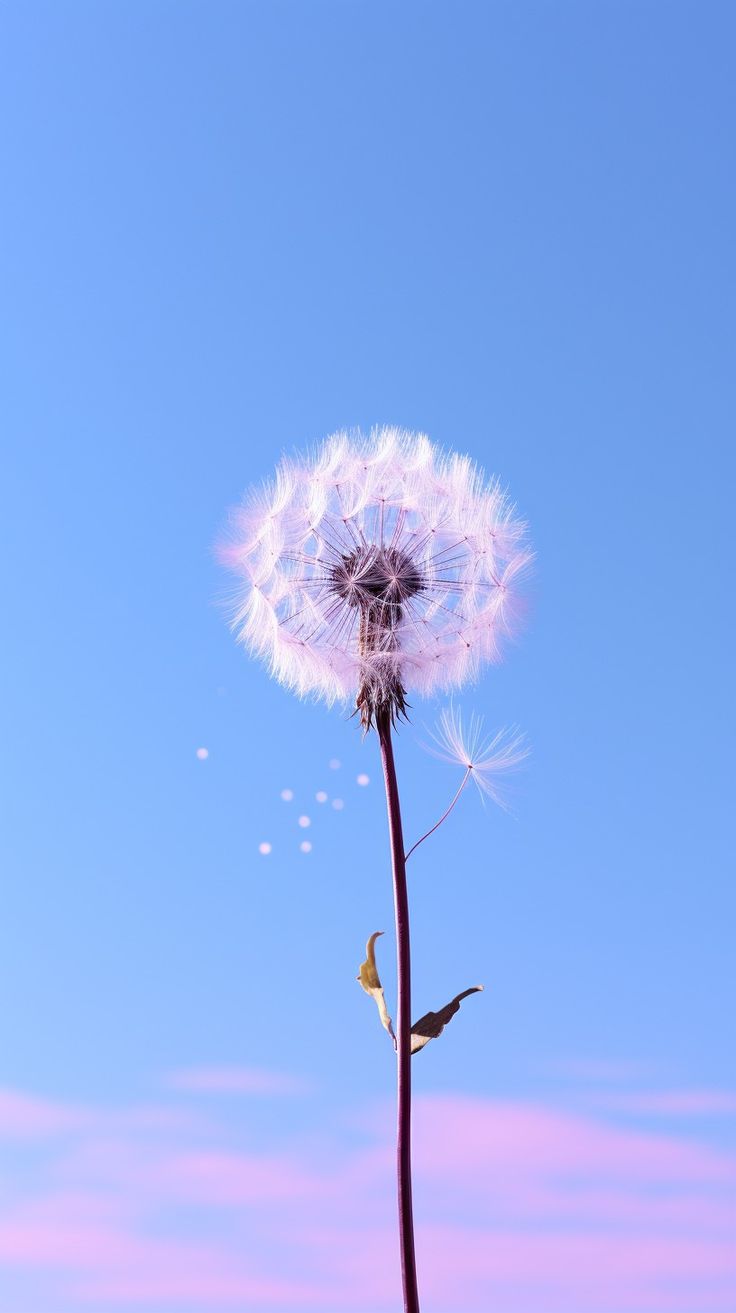 Glowing Dandelion