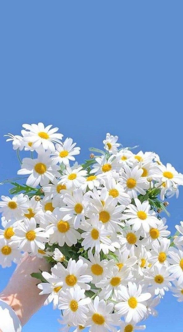 Daisy Bouquet in the Sky