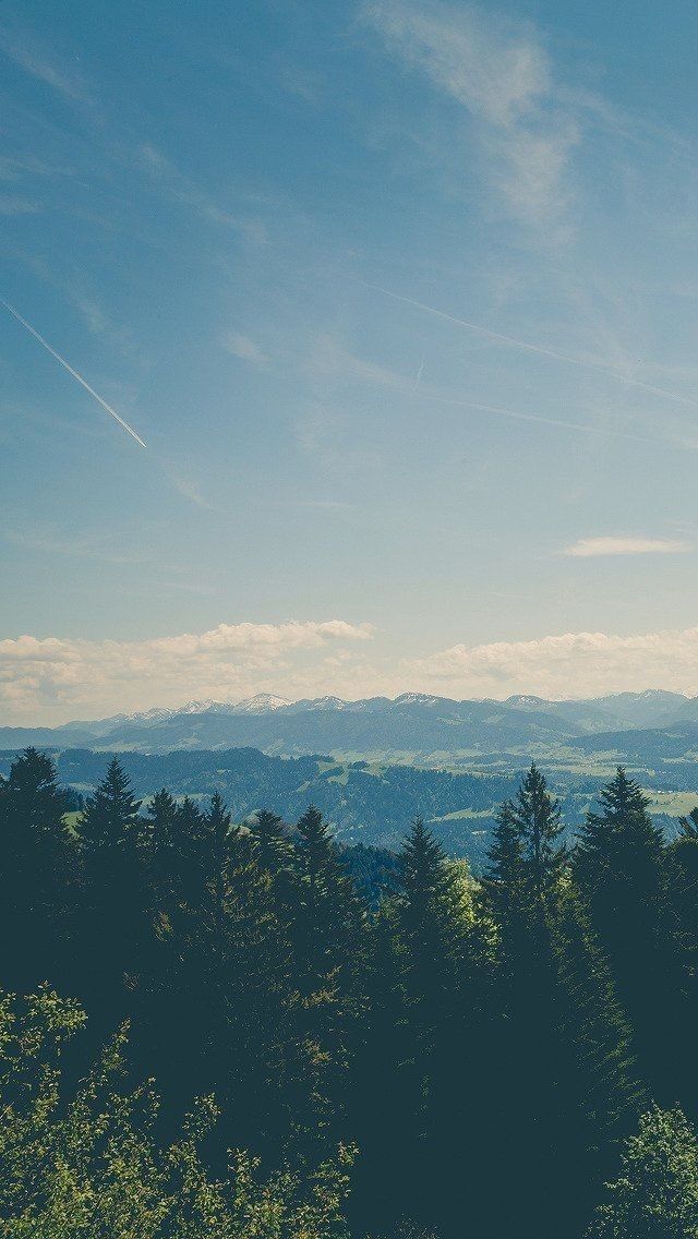Forest and Lakes View