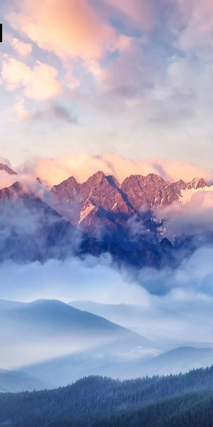 Pink Peaks Above the Fog