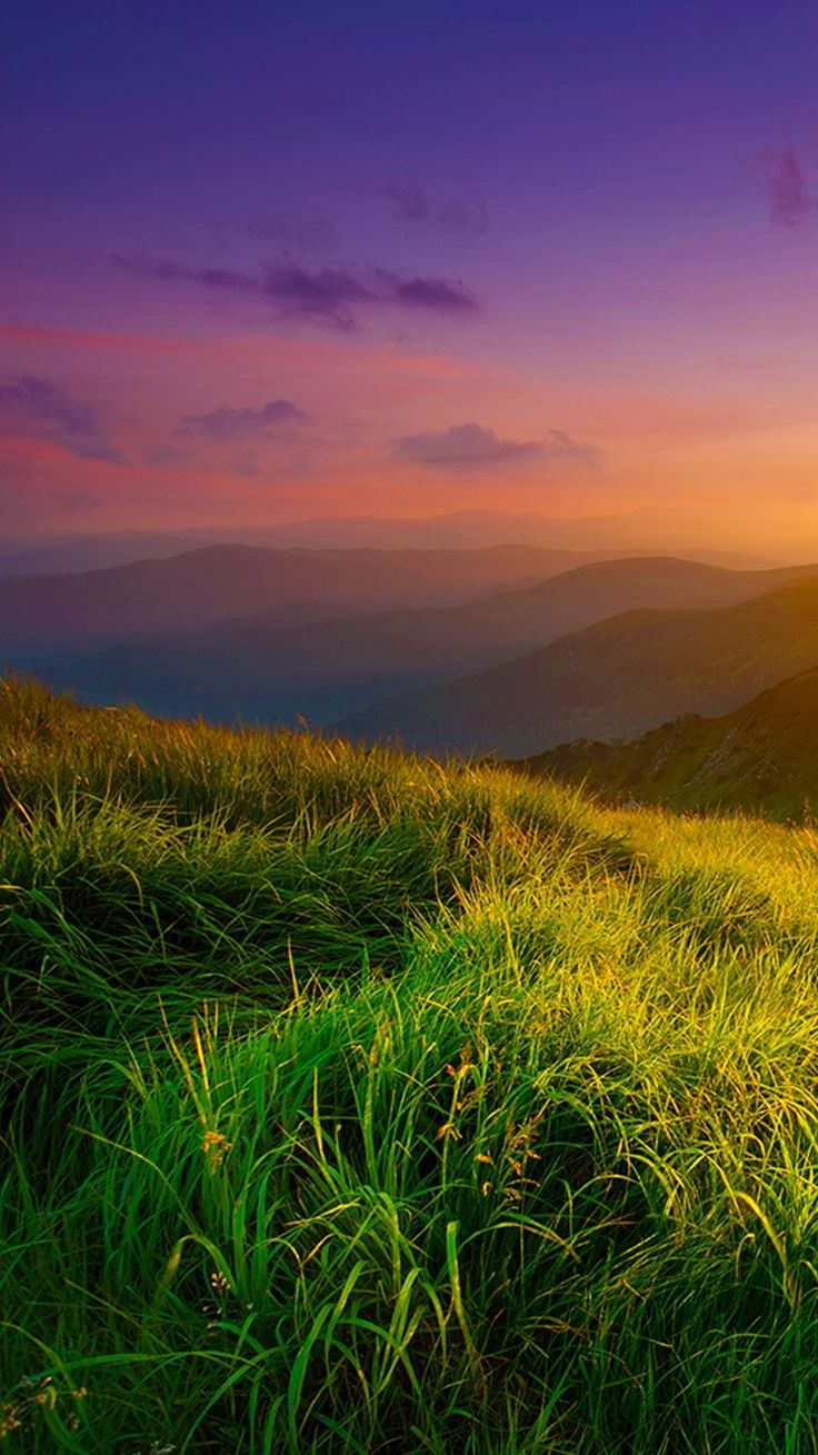 Hillside Grass at Sunset