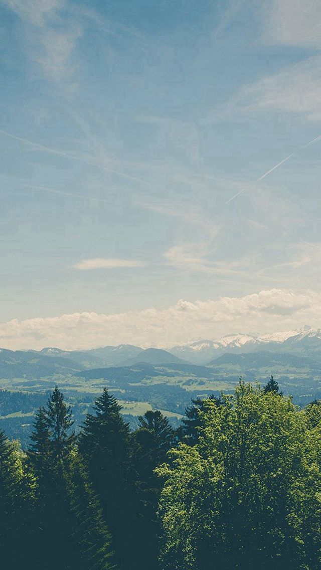 A green forest in front of distant hazy mountains under a soft sky.