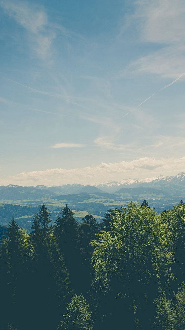 A pine forest below distant hills and a pale blue sky.